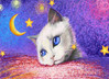 Nova Puzzle Under the Stars - White Cat palapeli 1000 palaa