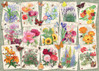 Ravensburger Cottage Garden Flowers palapeli 1000 palaa
