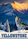 Alipson Yellowstone Wolf palapeli 500 palaa