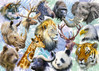 Alipson Animal Heads palapeli 500 palaa