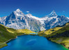 Alipson Lac de Bachalp, Alpes palapeli 1000 palaa