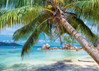 Alipson Plage Tropicale palapeli 1000 palaa