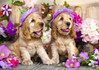 Enjoy Spaniel Puppies with Flower Hats palapeli 1000 palaa
