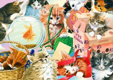 Enjoy Curious Cats palapeli 1000 palaa