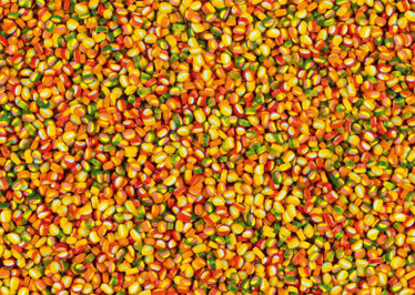 Schmidt Haribo Balla Bites palapeli 1000 palaa