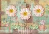 Nova Puzzle Pink Gerbera Flowers -palapeli, 1000 palaa
