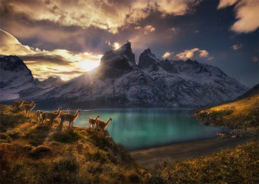 Heye Alexander von Humbolt Guanacos palapeli 1000 palaa