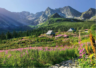CherryPazzi, Gasienicowa hall in Tatras palapeli 1000 palaa