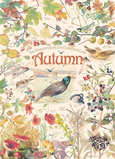 Cobble Hill, Country Diary: Autumn palapeli 1000 palaa