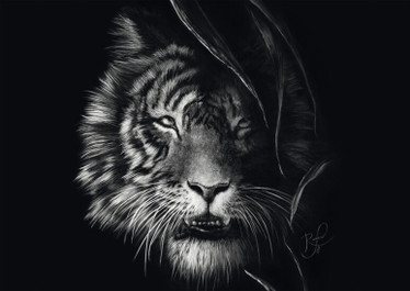 Schmidt Wilderness  Tiger: the epitome of freedom  palapeli 1000 palaa