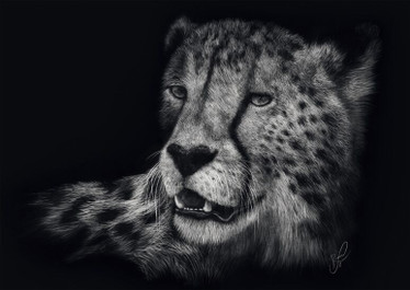 Schmidt Speed – Cheetah: the epitome of grace palapeli 1000 palaa P