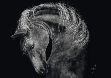 Schmidt,A.Rader Power Horse the epitome of strength palapeli 1000 palaa