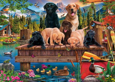 Schmidt A family of dogs at the lake palapeli 1000 palaa