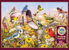 Cobble Hill Field   Song palapeli 2000 palaa