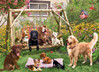 Cobble Hill Doggie Daycare palapeli 500 XXL palaa