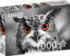Enjoy Curious Owl palapeli 1000 palaa