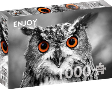 Enjoy Curious Owl palapeli 1000 palaa