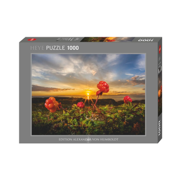 Heye Alexander von Humboldt Cloudberries palapeli 1000 palaa