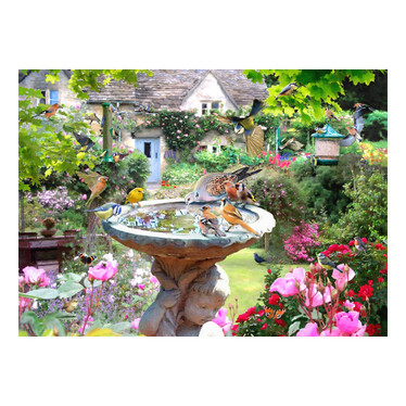 House of Puzzle Summer Birds palapeli 1000 palaa