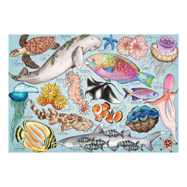 House of Puzzle Great Barrier Reef palapeli 1000 palaa