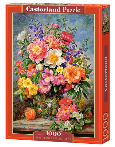 Castorland June Flowers in Radiance palapeli 1000 palaa
