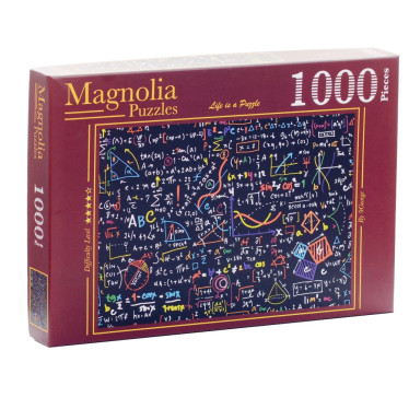 Magnolia Maths palapeli 1000 palaa