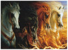 Anatolian The Four Horses Of Apocalypsee palapeli 1000 palaa