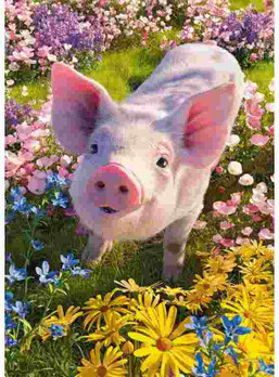 CherryPazzi Do You Love Me? palapeli 500 palaa