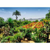 Ravensburger Botanical Garden Madeira palapeli 1000 palaa