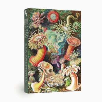 Penny Puzzle  Sea Anemones palapeli 1000 palaa