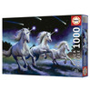 Educa® Shooting Stars  Anne Stokes palapeli 1000 palaa
