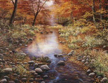 SunsOut, XXL, Bill Malkinson, Golden Forest palapeli 1000 palaa