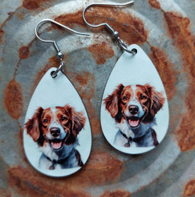 Bretoni korvakorut, PikkuMari Tmi 