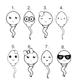 Balls -muki, PikkuMari Tmi