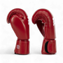 Fairtex BGV27 Nyrkkeilyhanskat