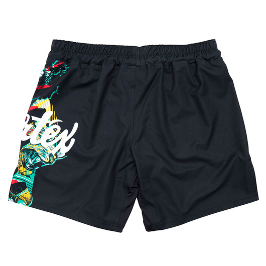 Fairtex AB13 kamppailushortsit