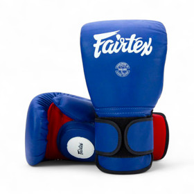 Fairtex BGV13 Valmentajan nyrkkeilyhanskat