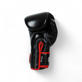 Fairtex BGV14 Nyrkkeilyhanskat