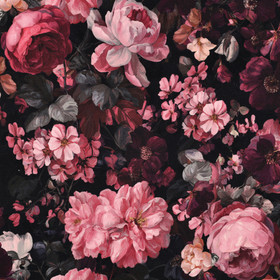 Roses, pink, joustocollege