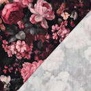Roses, pink, joustocollege