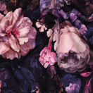 Roses, navy, joustocollege