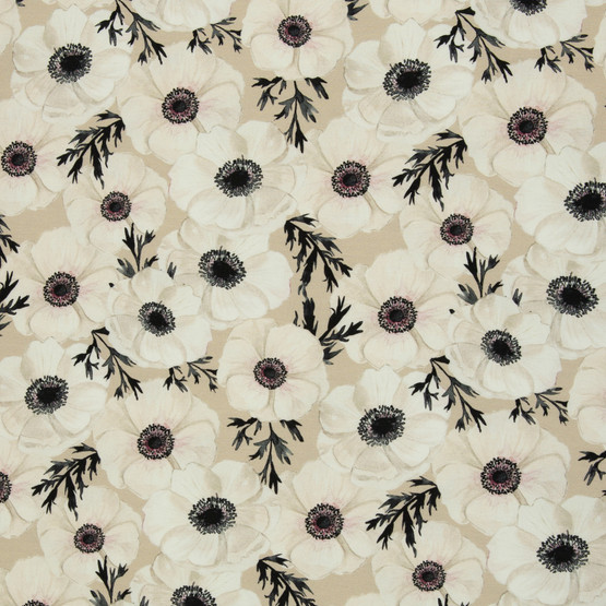 Anemone, beige, joustocollege