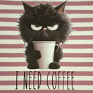 Silitettävä teksti, I NEED COFFEE, musta