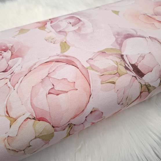 Roses, Light Rose,  joustocollege