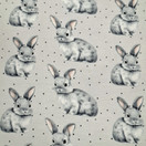 Harjattu joustocollege, Puput, harmaa