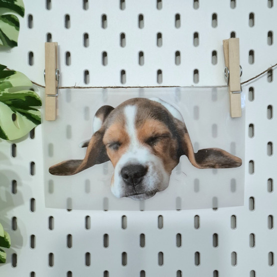 TILAUSTUOTE: Värillinen silityskuva omasta kuvasta