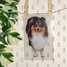 TILAUSTUOTE: Värillinen silityskuva omasta kuvasta