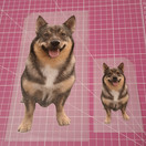 TILAUSTUOTE: Värillinen silityskuva omasta kuvasta