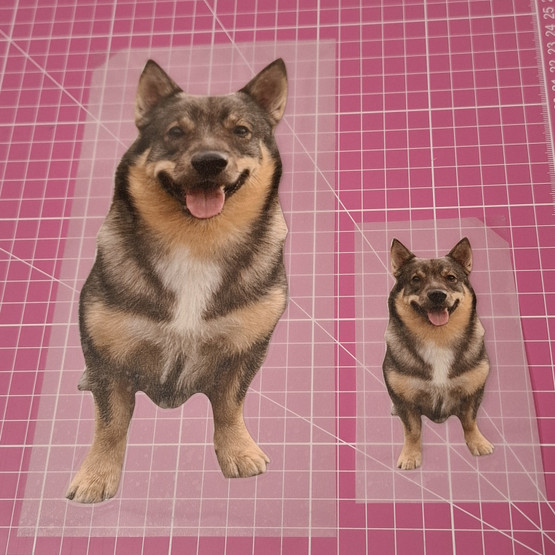 TILAUSTUOTE: Värillinen silityskuva omasta kuvasta