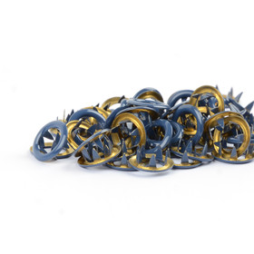 Nepparit 10 kpl / pkt , BLUEBERRY